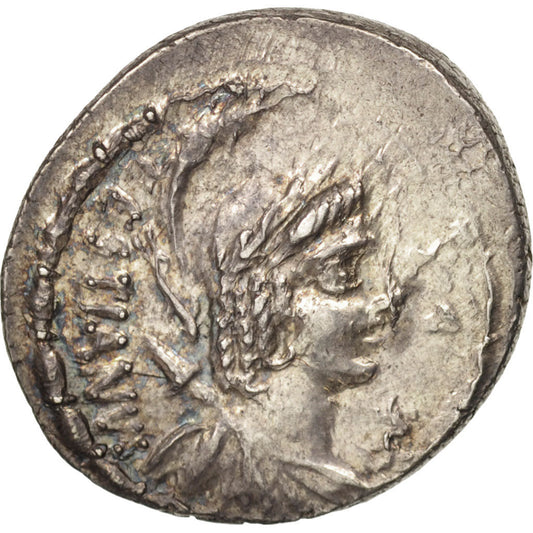 Münze, 
  
  Plaetoria, 
  
  Denar